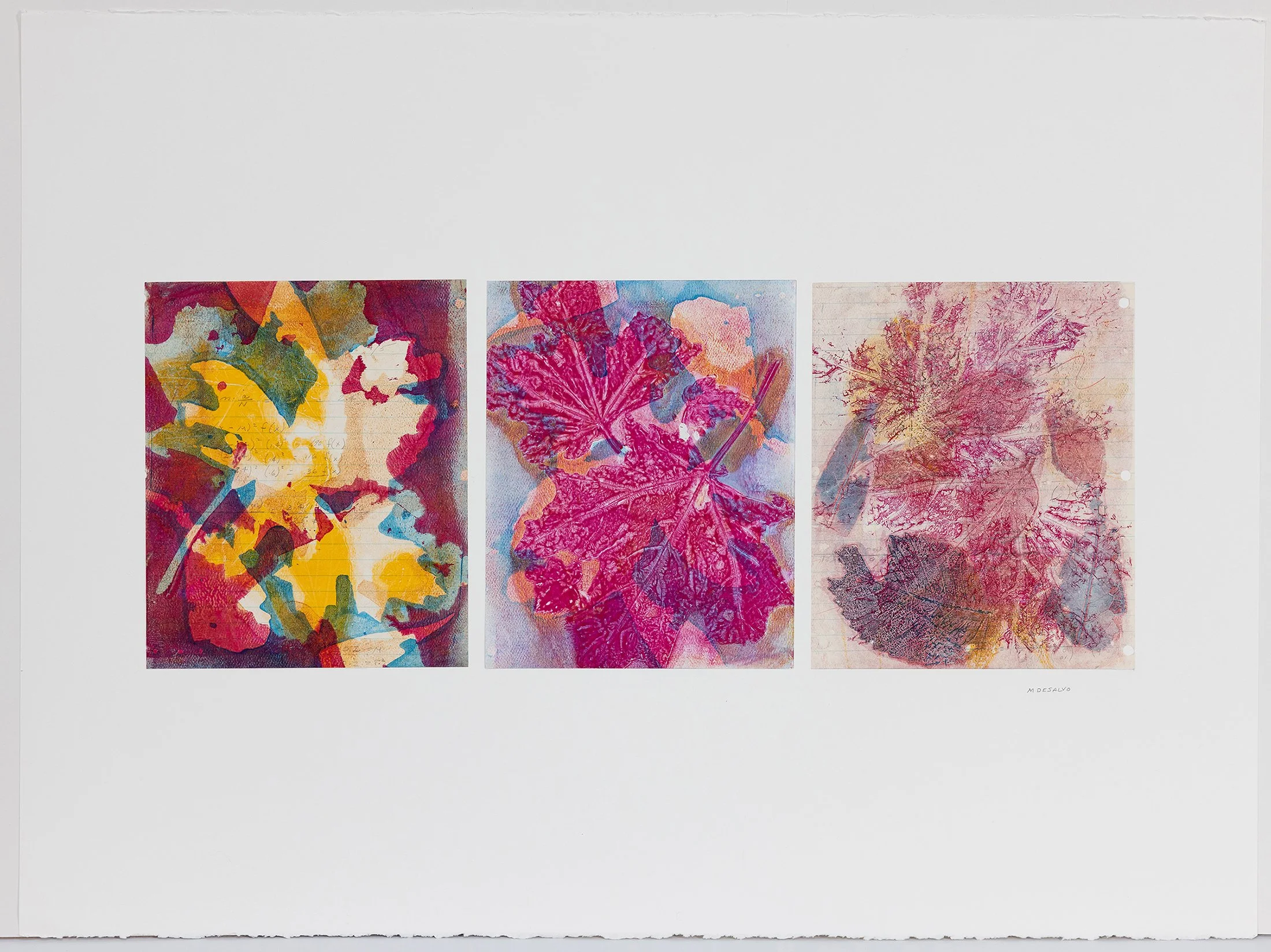 Monica DeSalvo, "Dressed Up Properties"