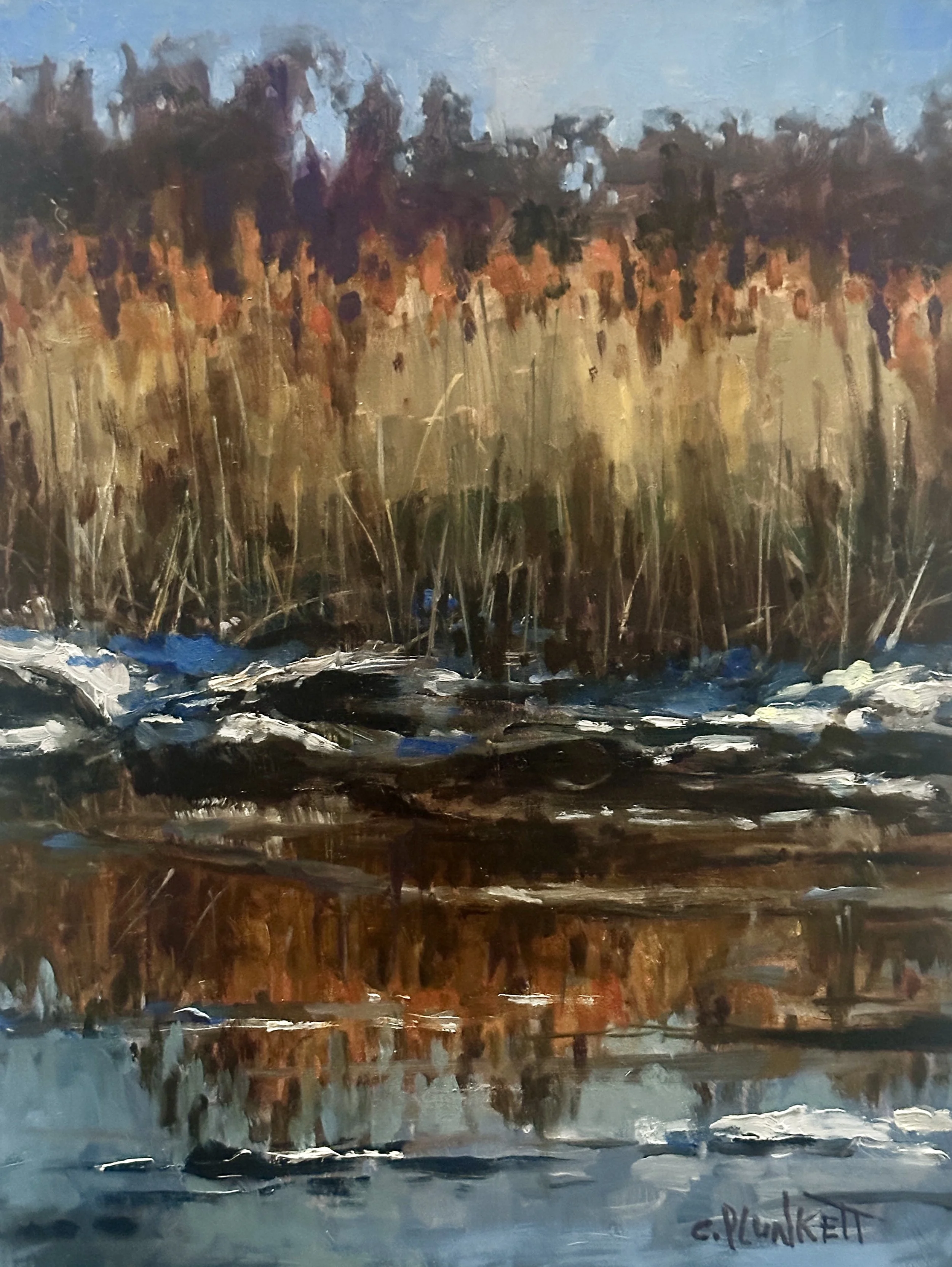 Chris Plunkett, "Neponset River Reflects"
