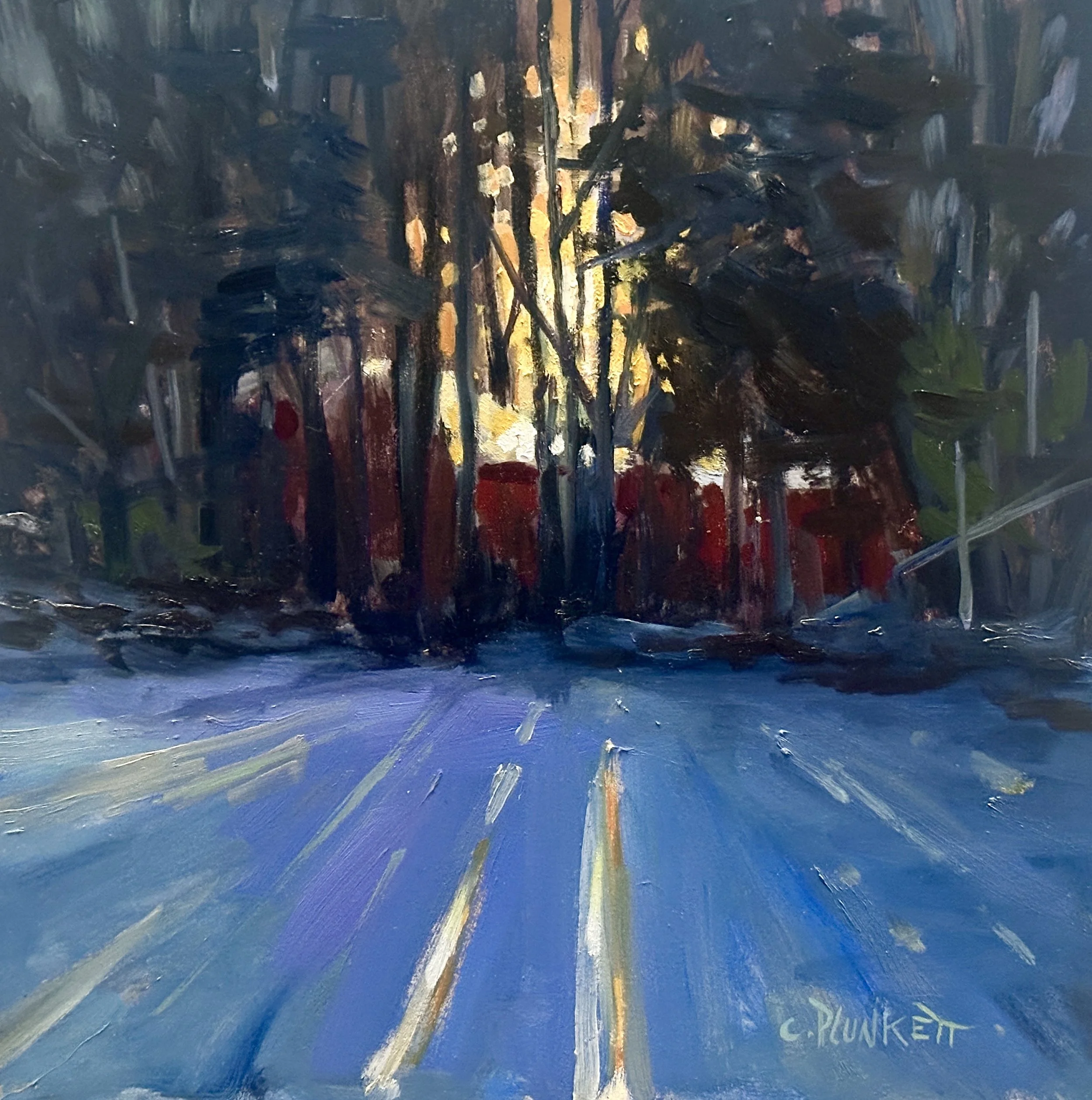 Chris Plunkett, "Last Light at the Cove"