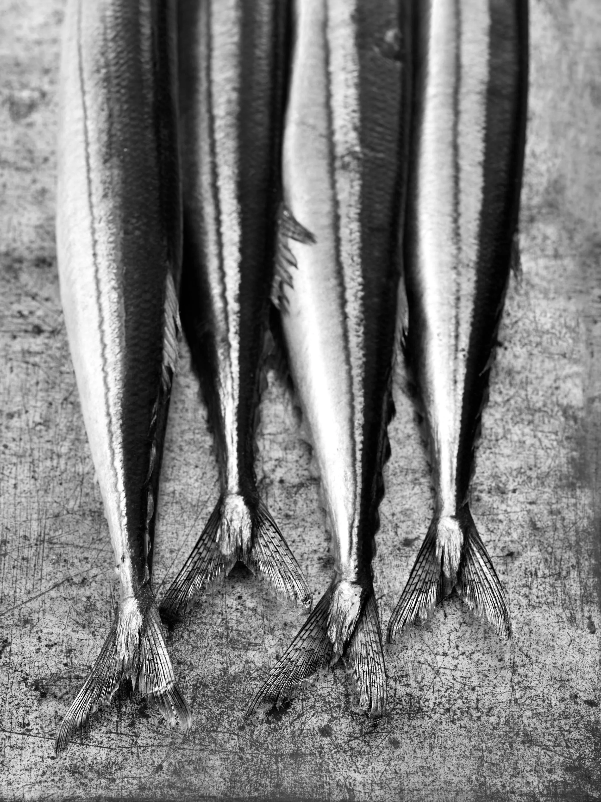 Francine Zaslow, “Fish Tails," Black &amp; White Photograph, Available