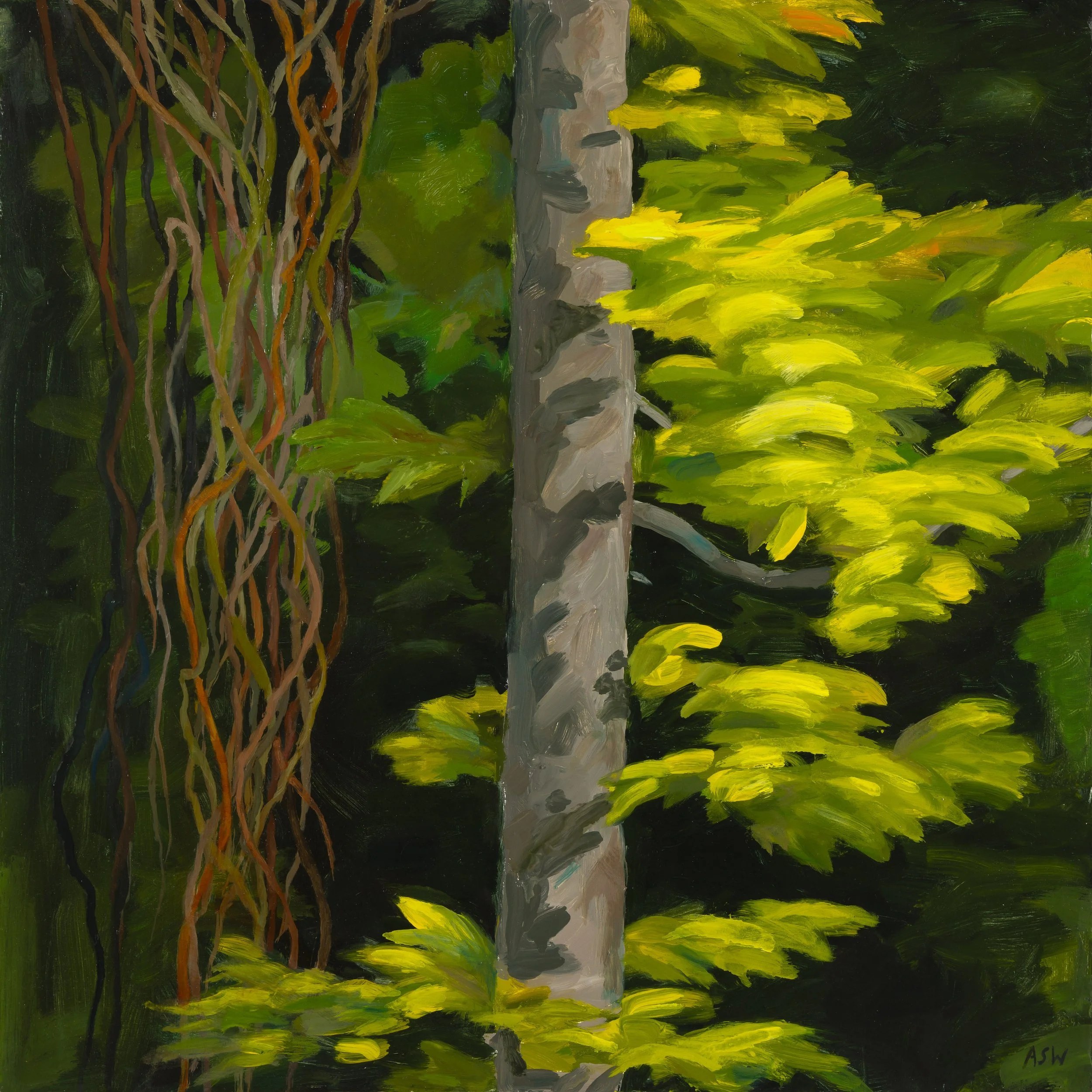 Anne Sargent Walker, "Flaming Maple"