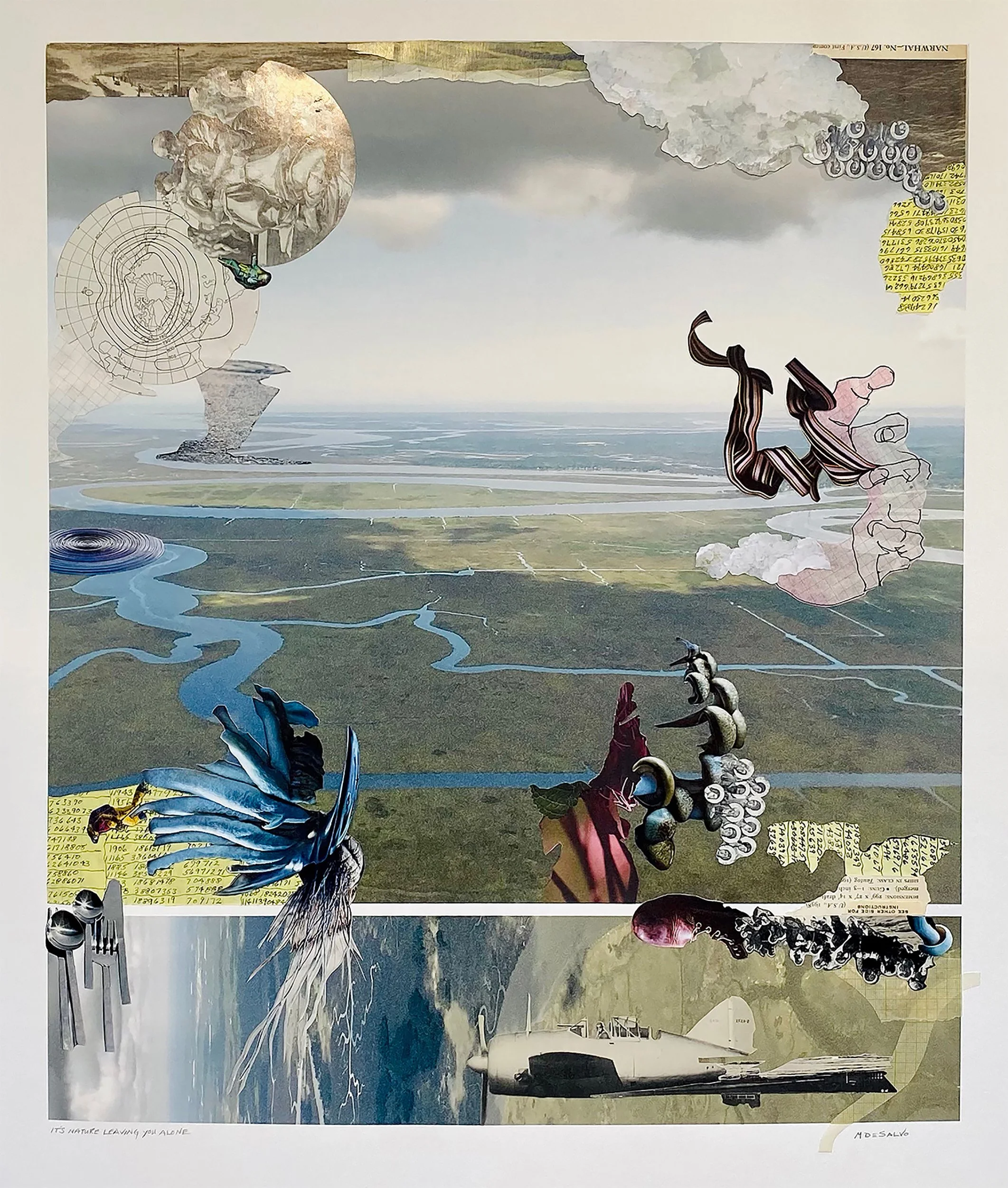 Monica DeSalvo, "It's nature leaving you alone"