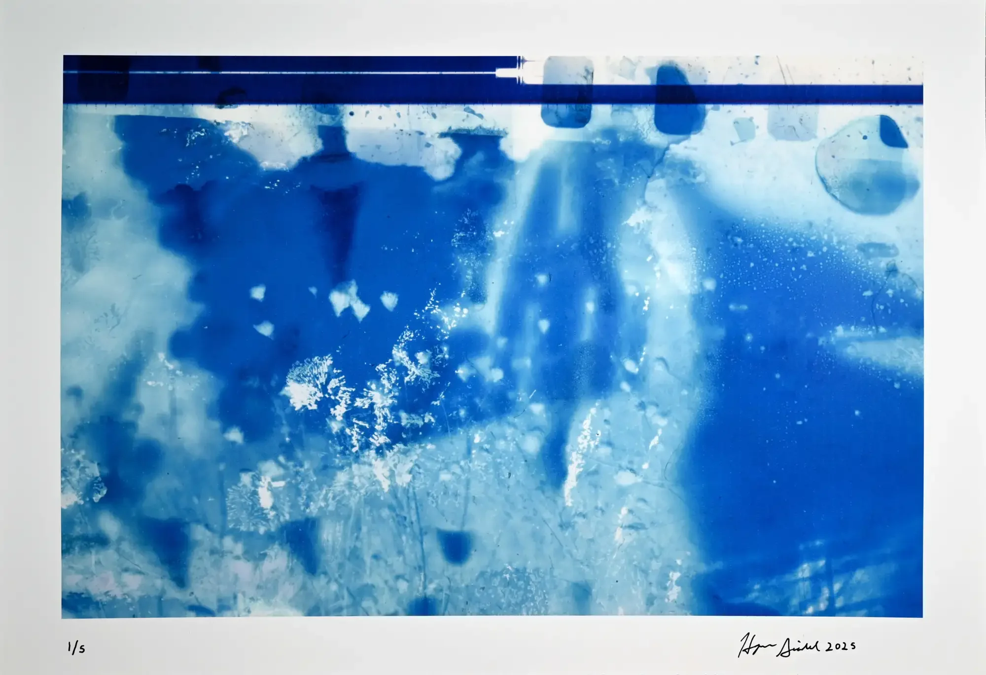 "Glimpses of Their Garden #1," Archival Inkjet Print 