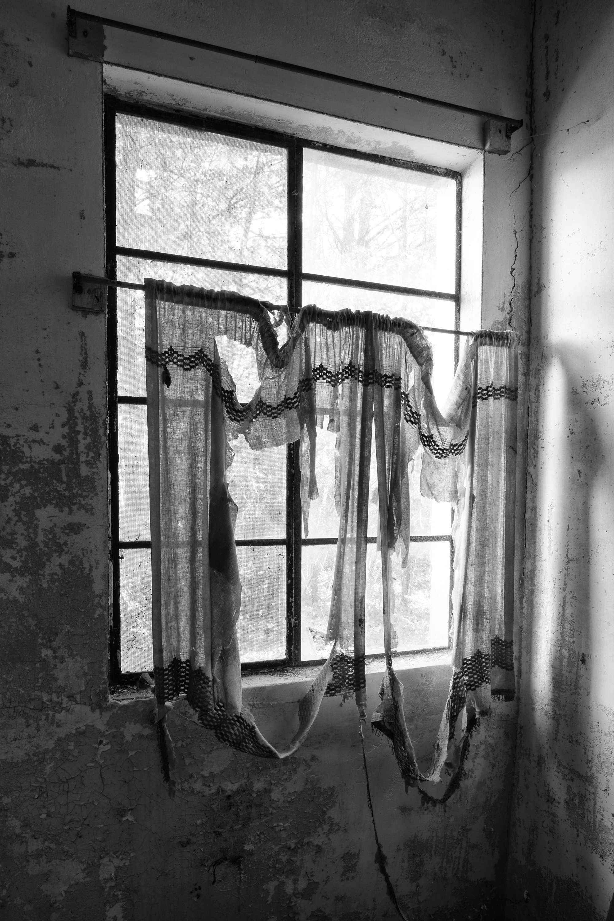 Rebecca Skinner, "Tattered II"