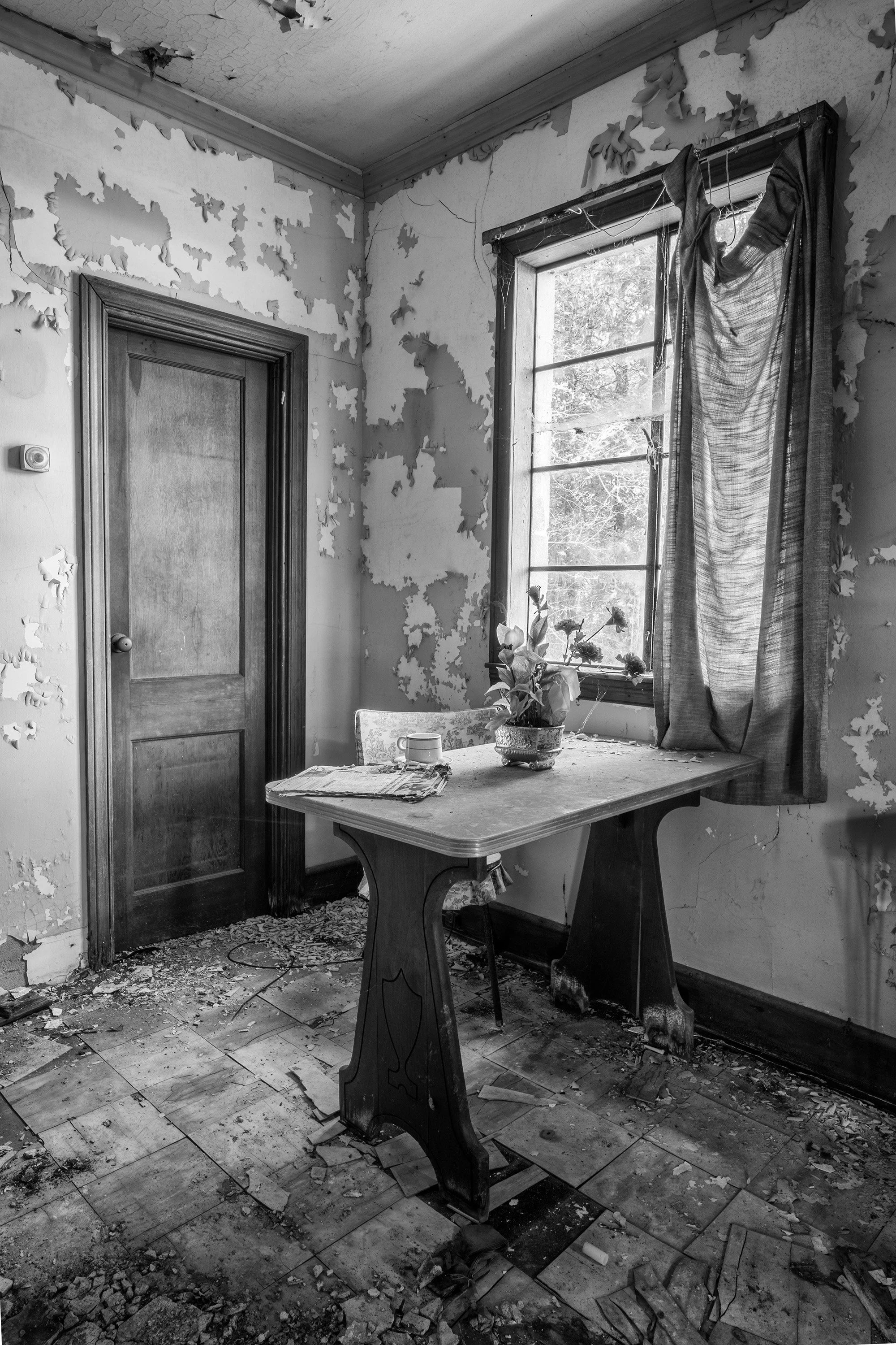 Rebecca Skinner, "Daily Dose II"