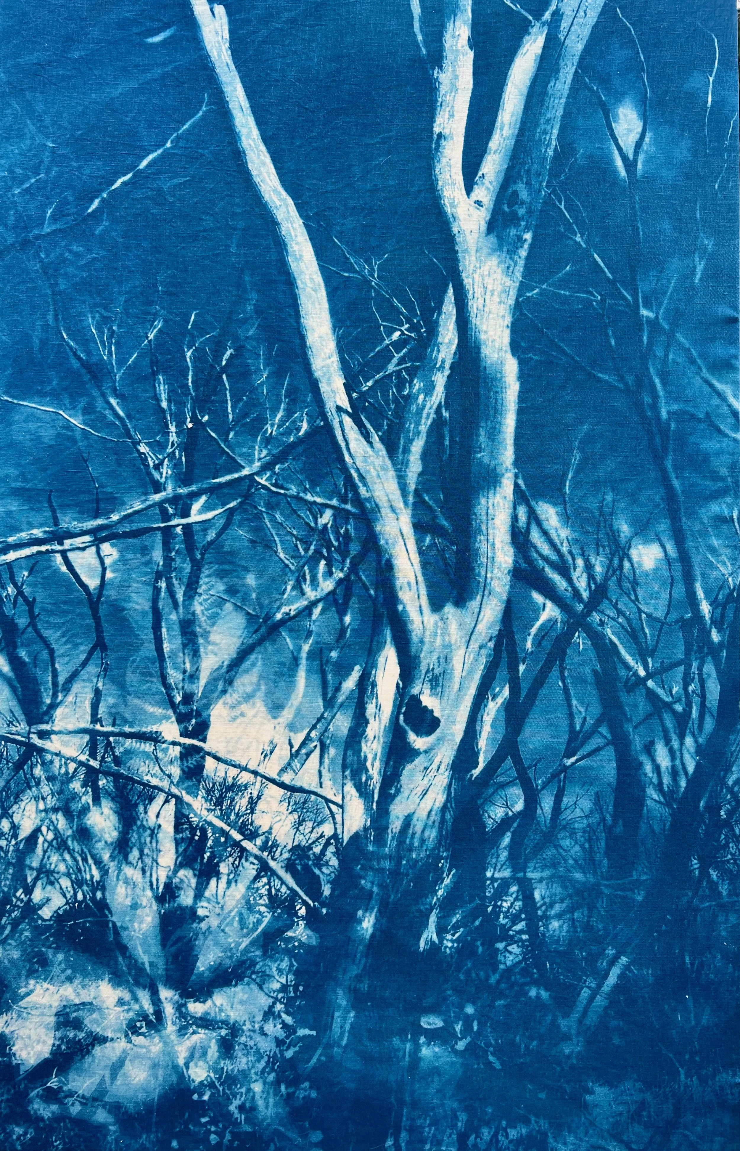 Marie Craig, "After the Fire 3," Cyanotype on Linen, Stretched Over Canvas, Available