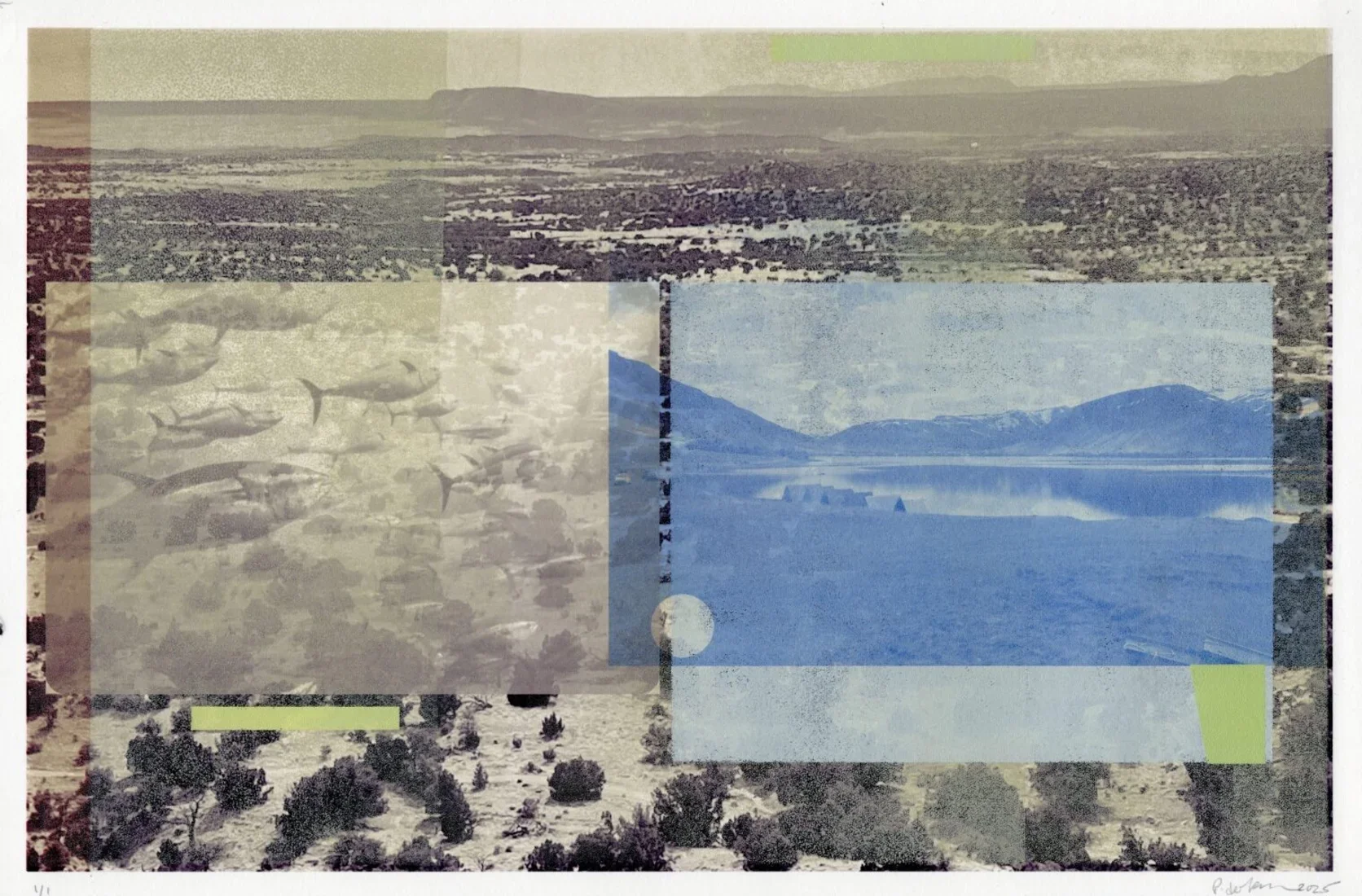 Anywhere // Patty deGrandpre