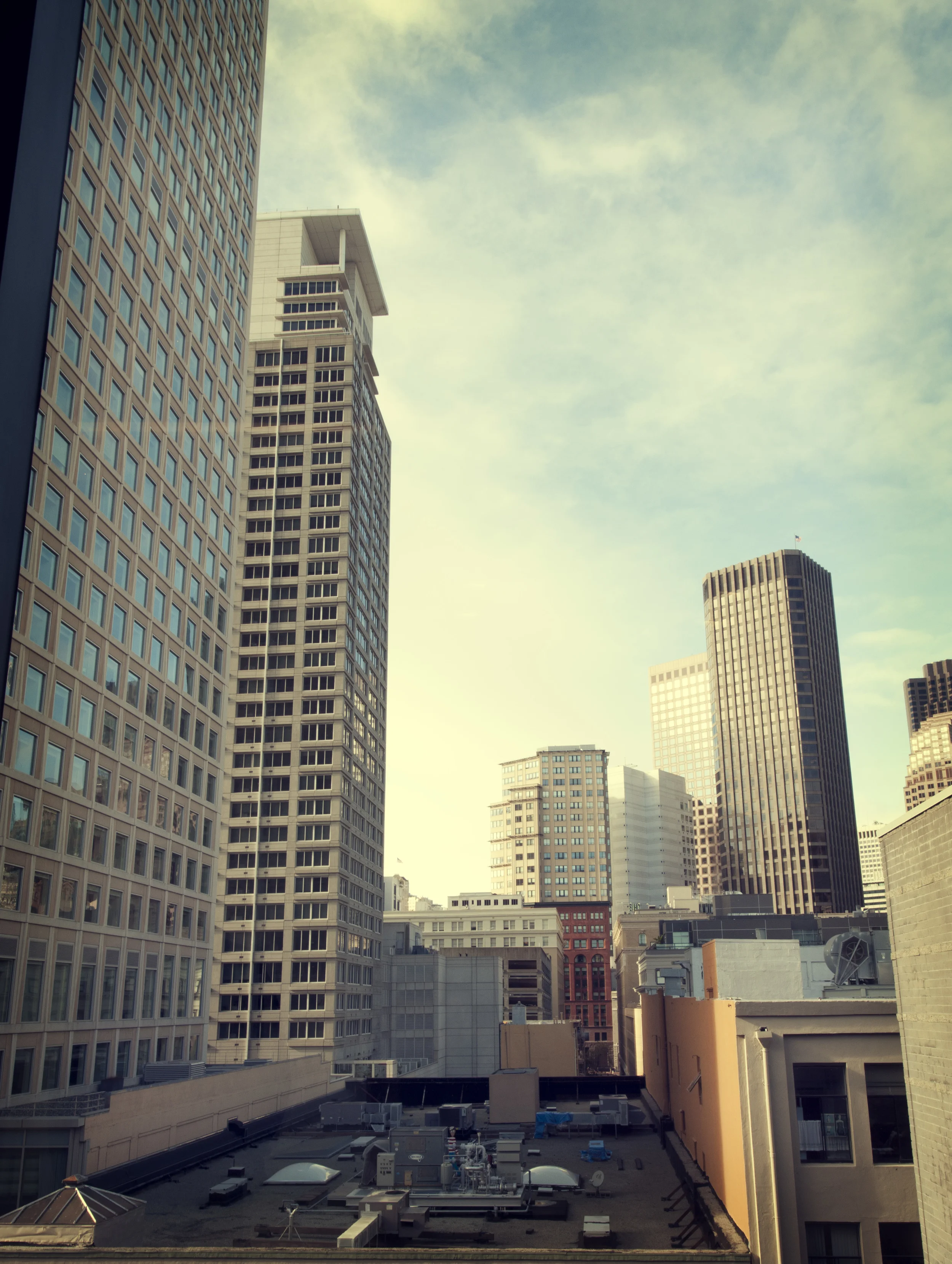 DSC_0208.jpg