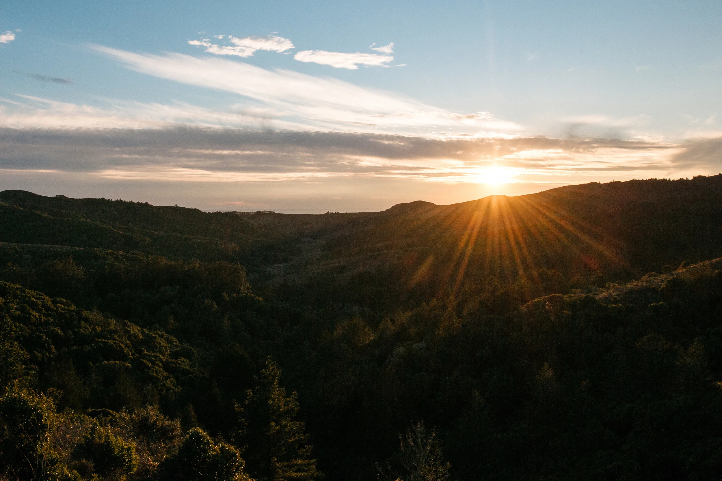 A new project, a new year