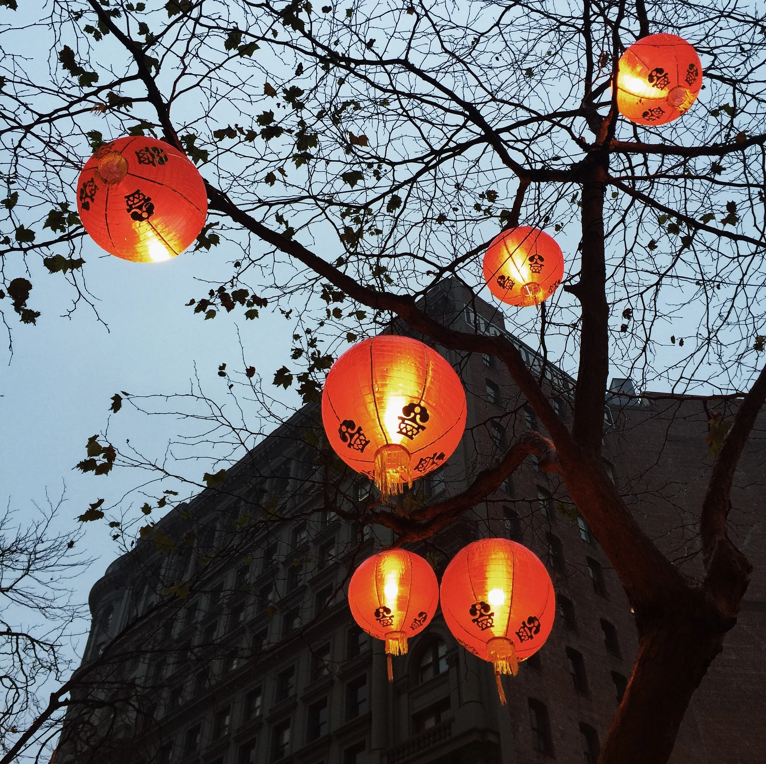 I guess you'd call this a "vlog".