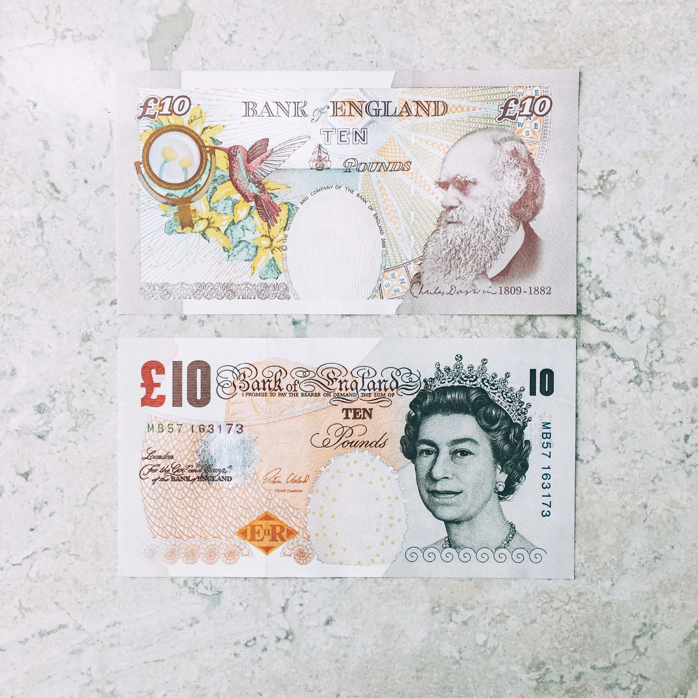 The Marble Flat Lay Study, 1