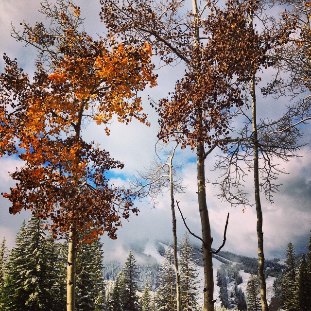 " The seasons are colliding at #WinterParkResort. We welcomed another blanket of white on the slopes this morning!" - @winterparkresort