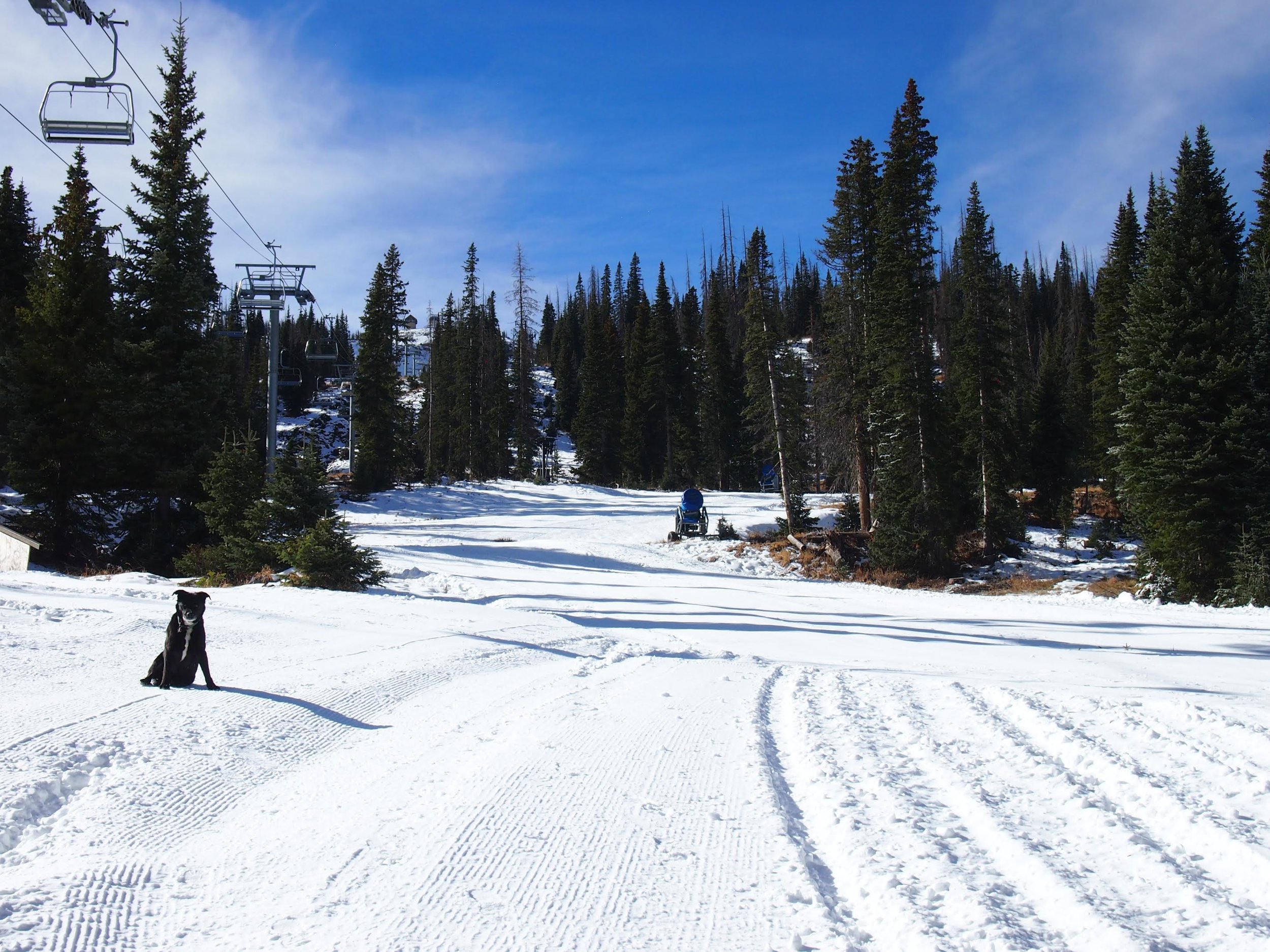 P: Rosanne H. Pitcher, Wolf Creek Ski Area