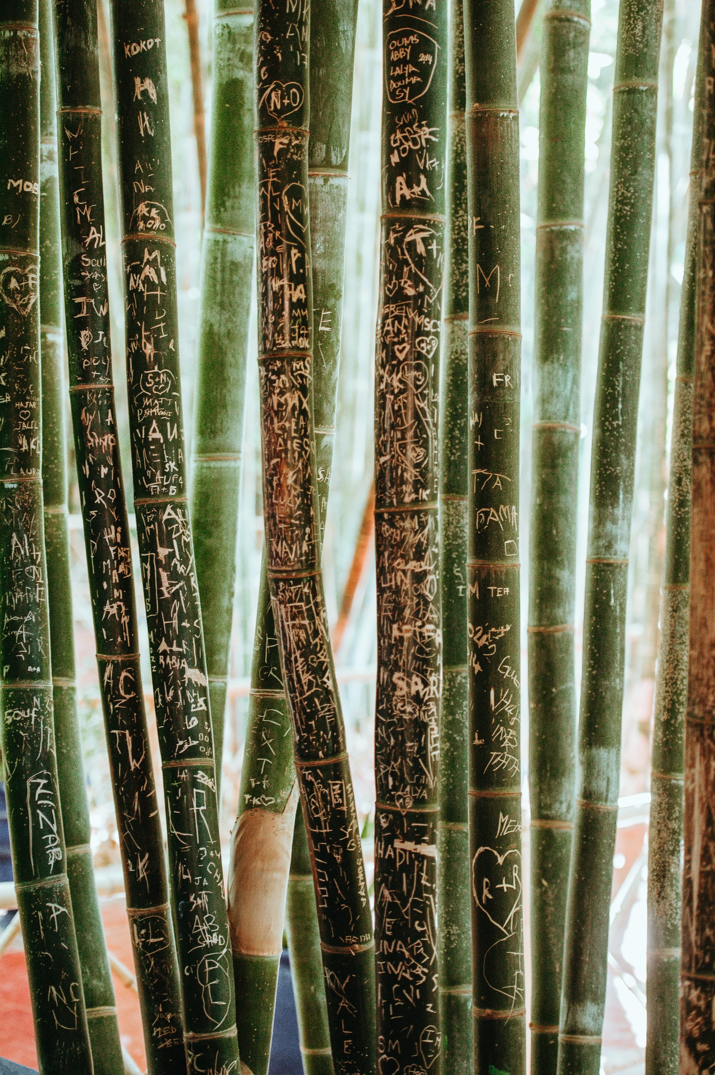 annie-spratt-FDcLt4FWX3U-unsplash.jpg