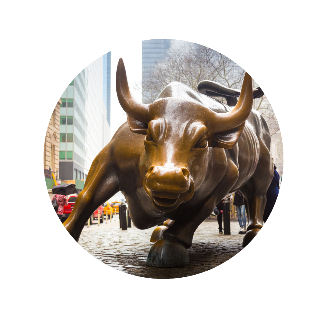 Wall Street Bull Statue in New York City, USA 