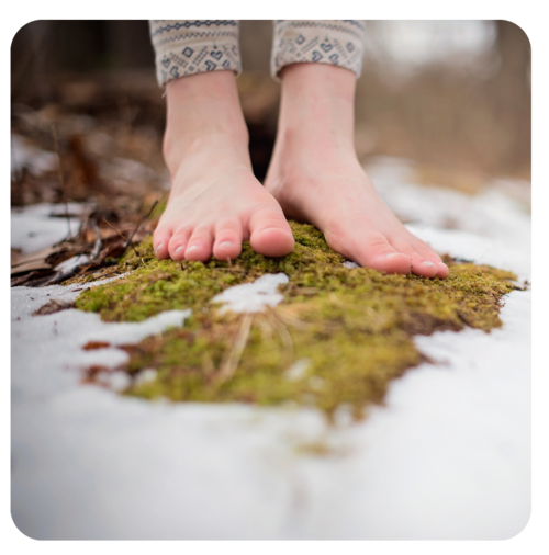 Bare Feet In Snow