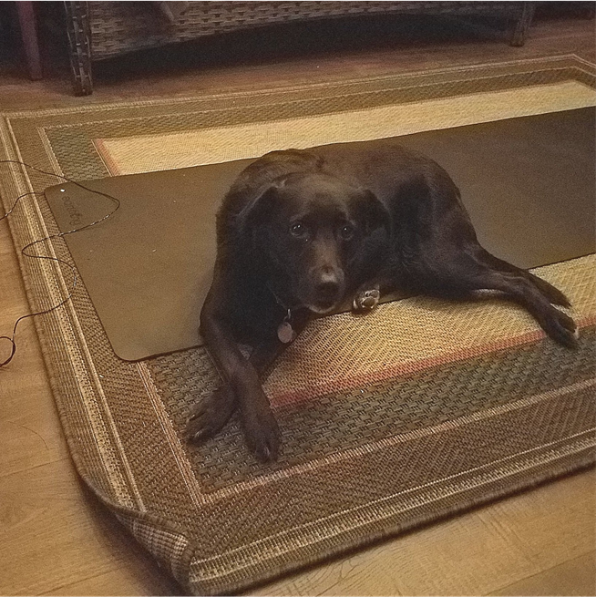 Poppy likes the grounding yoga mat too!
