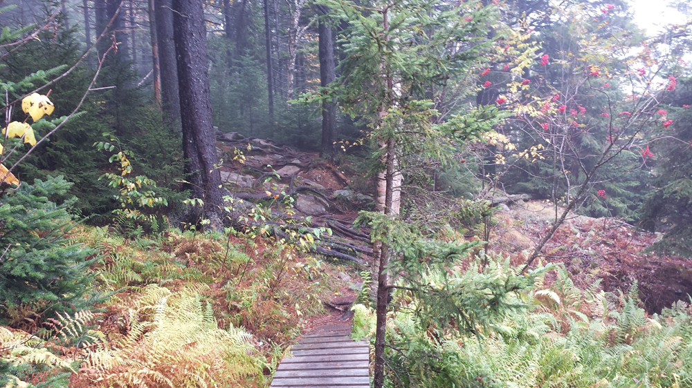 Ascutney Mountain, Vermont