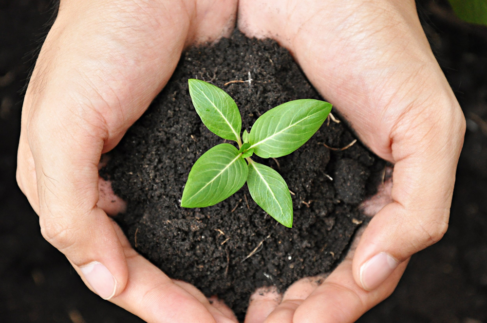 25 Ways to Love the Earth  Grounded.com
