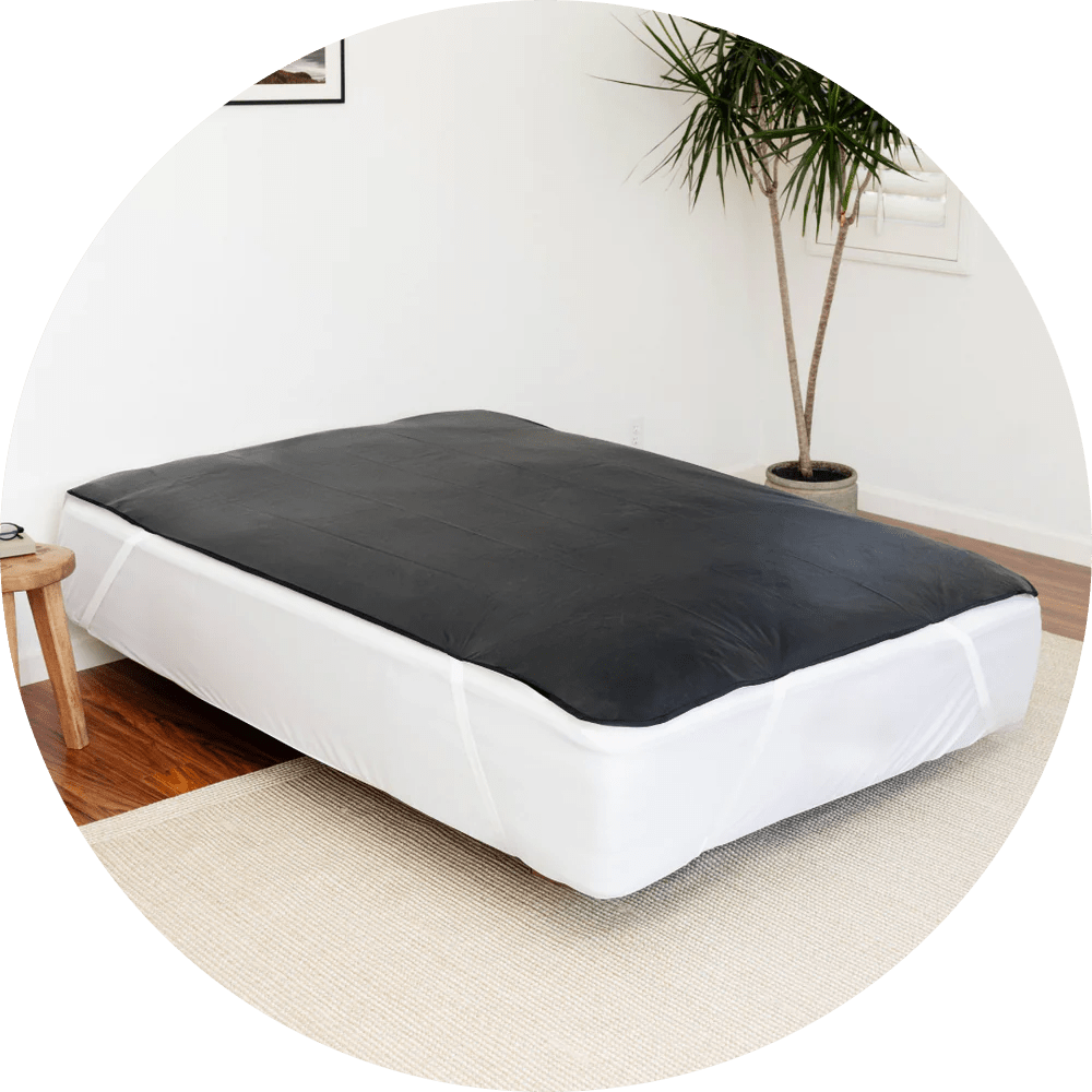 earthing mattress cover palm tree-modified-min.png