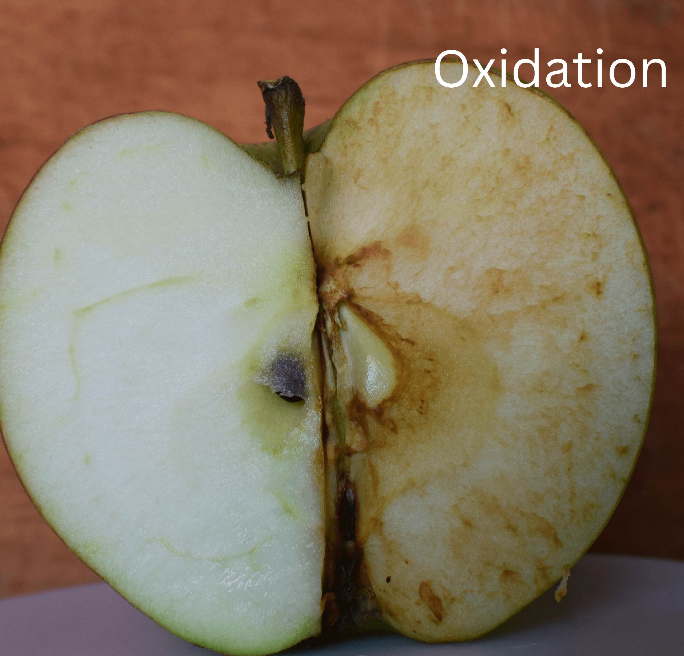 half an apple with one side oxidized, the other not