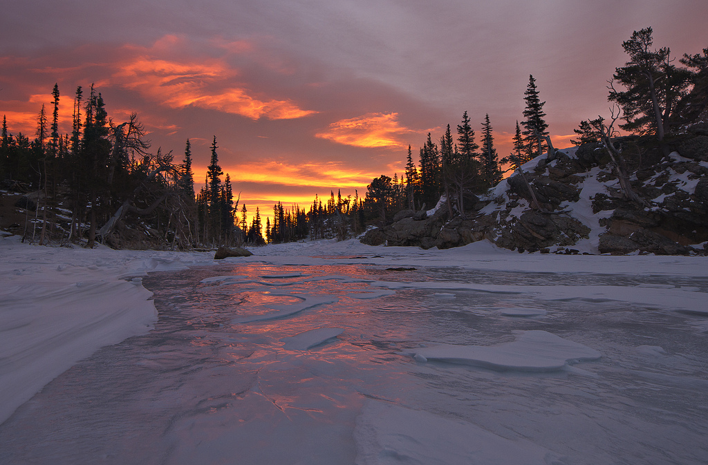 Image Courtesy of Steven Bratman