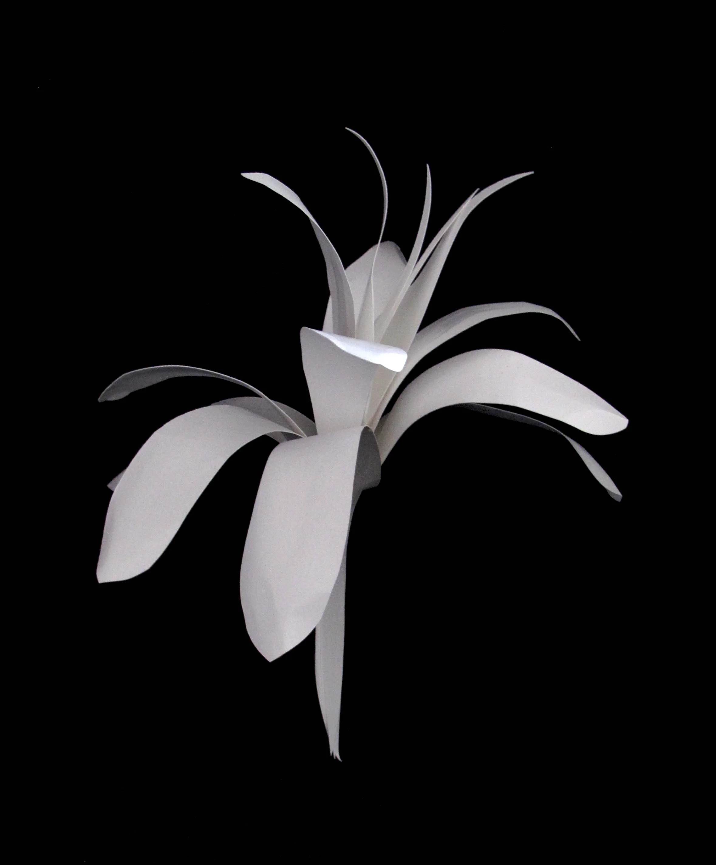 Flower1.jpg
