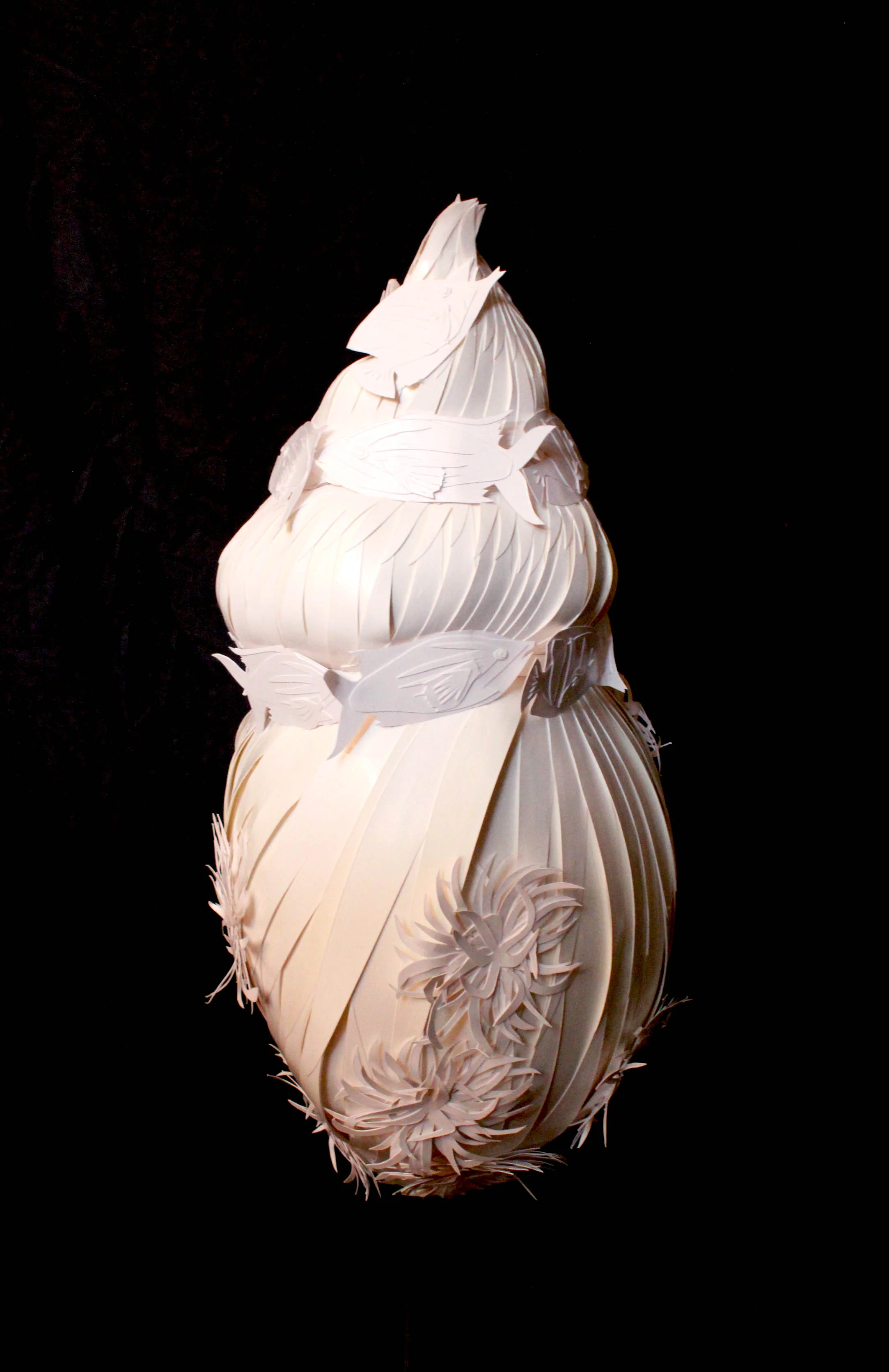 ShellBack.jpg