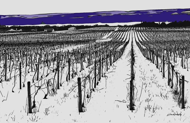 12132 - Winter Vines