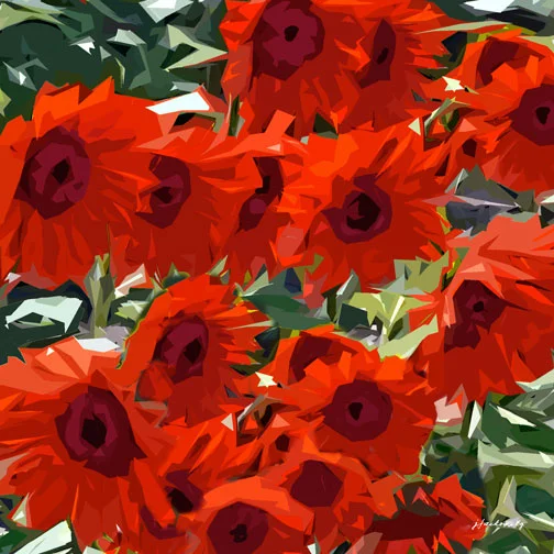 P8260922_100-Sunflowers_Red