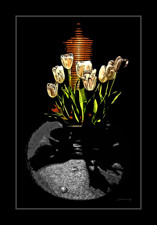 10494_154-Tulip