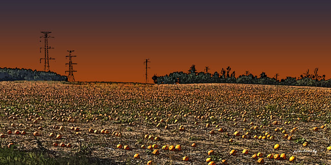 i3032_200wc-Punkins