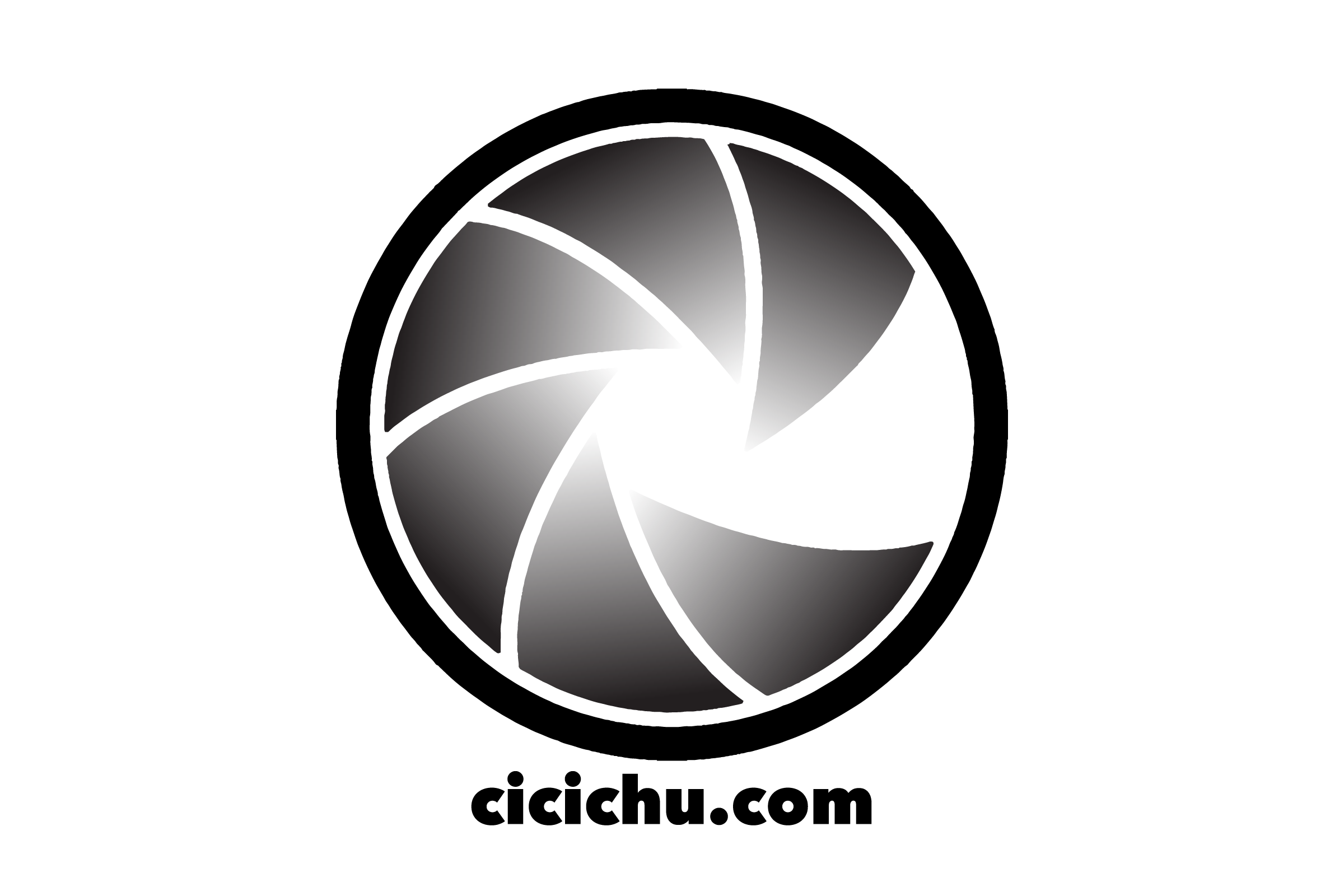 cicchulogo-01.png
