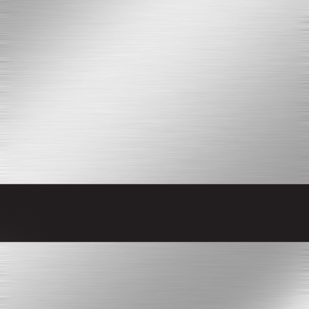 Brushed Silver/Black