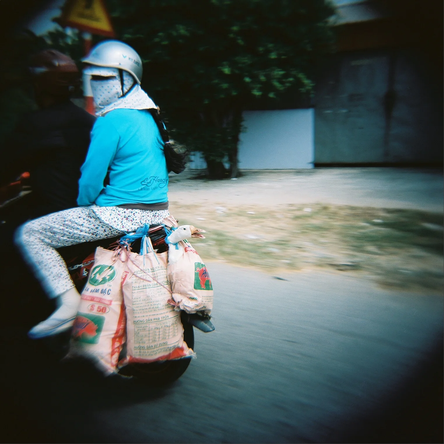 2duckbike.jpg
