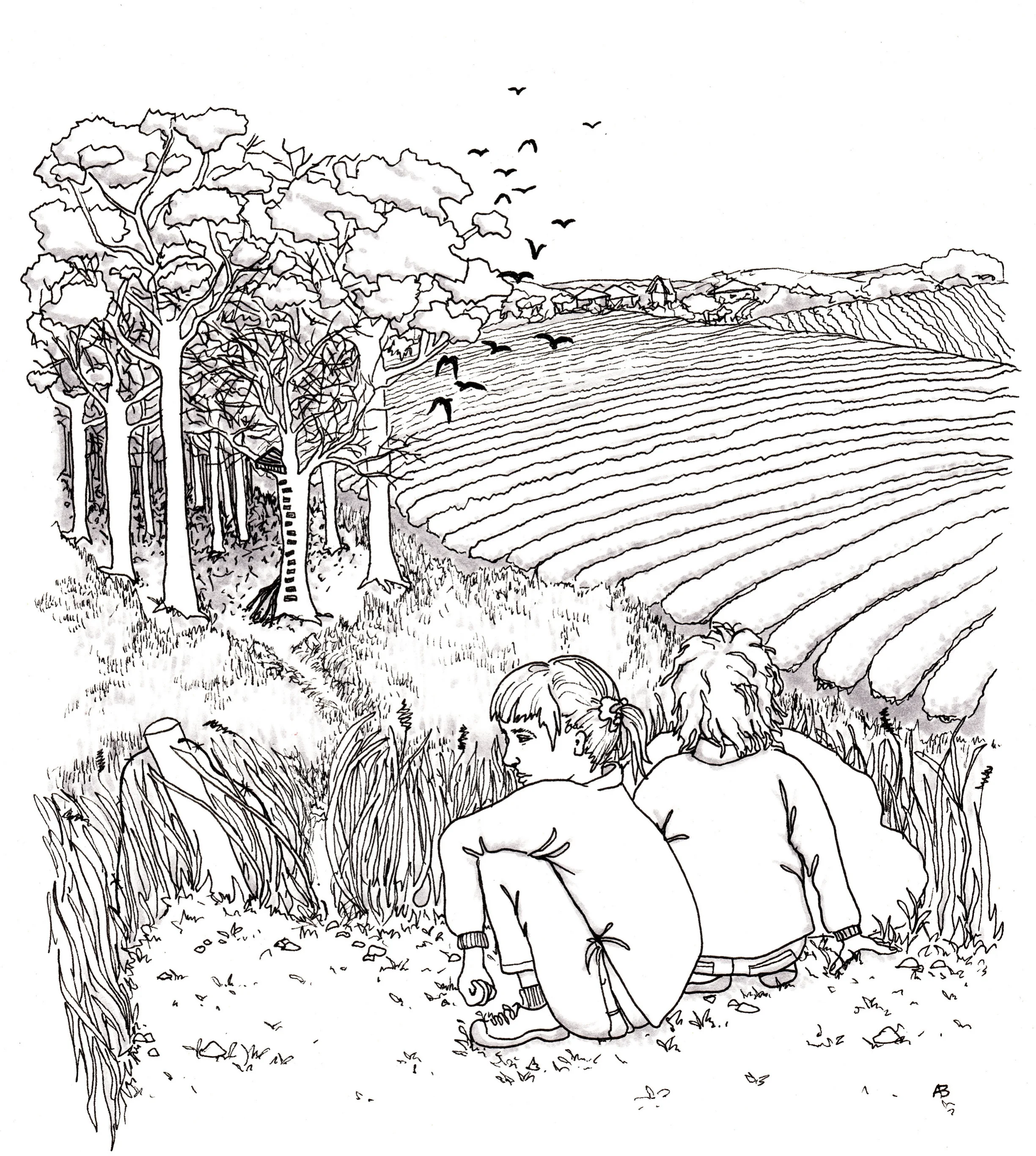 edge of the woods.jpg