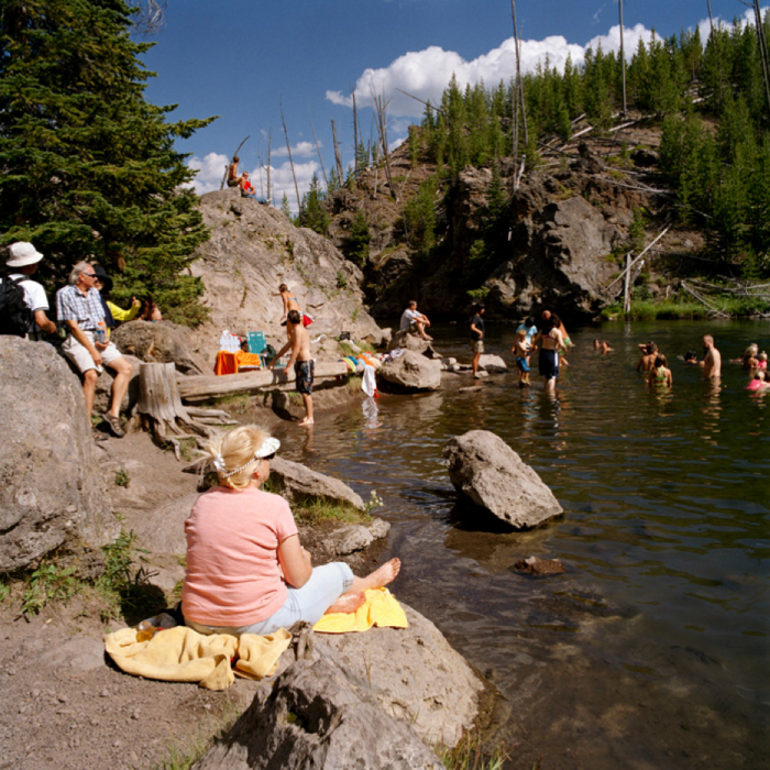 River Swimmers, Yellowstone National Park, WY 