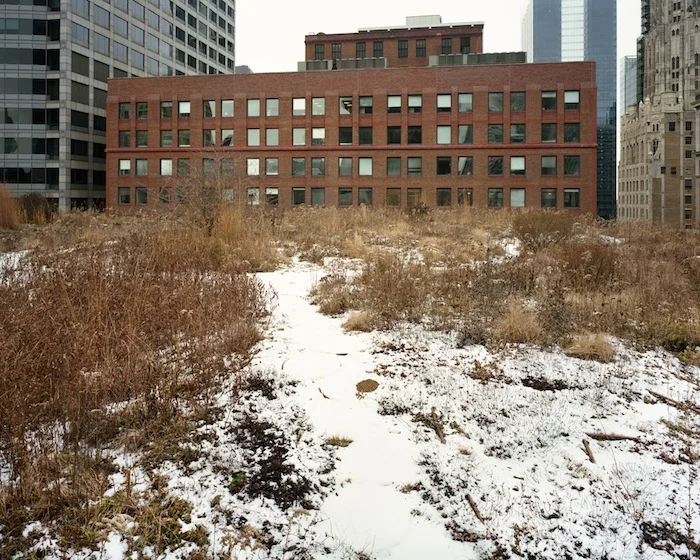 December-Chicago-2009.jpg