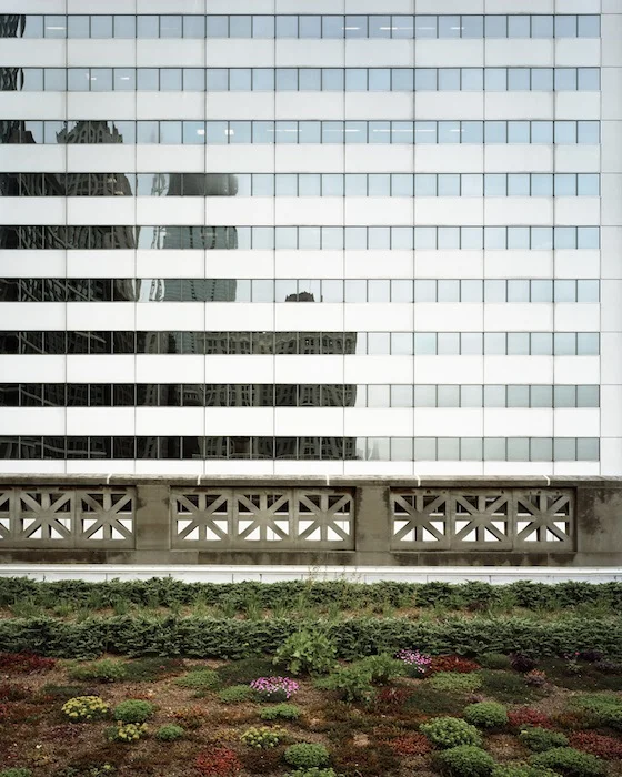 Reflection-Chicago-2009.jpg