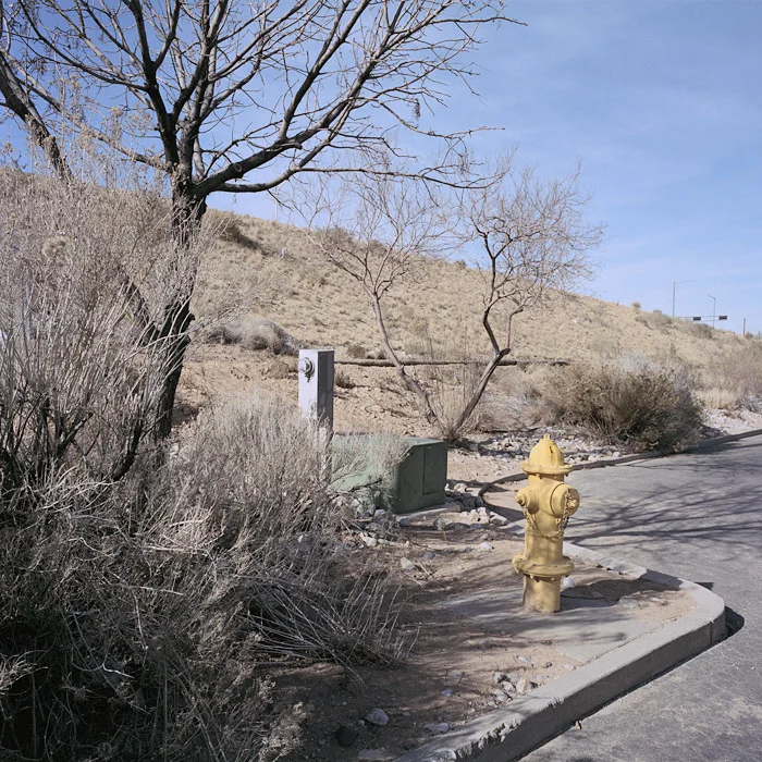 Nowhere #13804, 2010 