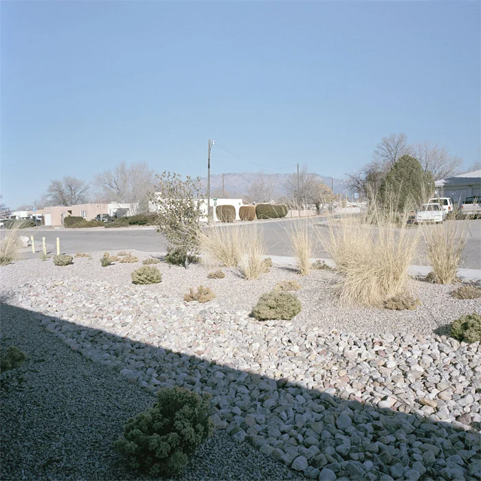 Nowhere #13005, 2010 
