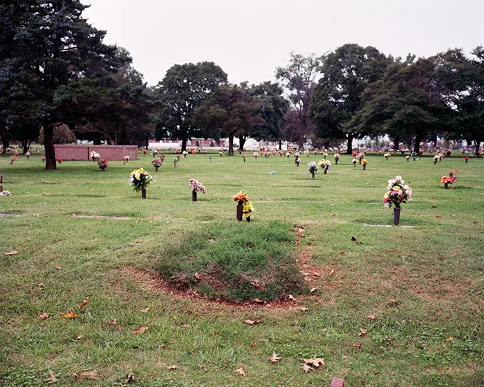 Fresh Grass, 2009 