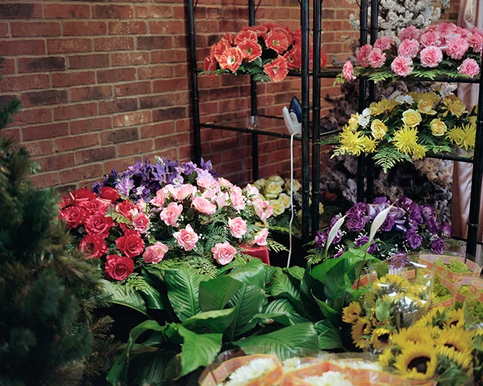 Plastic Flowers and Iron, 2009 