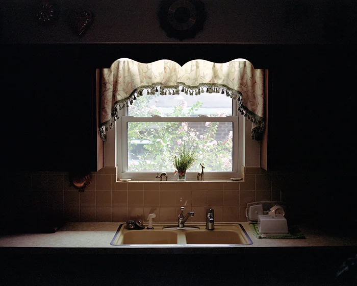 Kitchen Window, 2009 