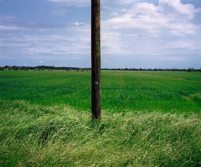 15 ½ Marking on Telephone Pole, BRLA 2009 