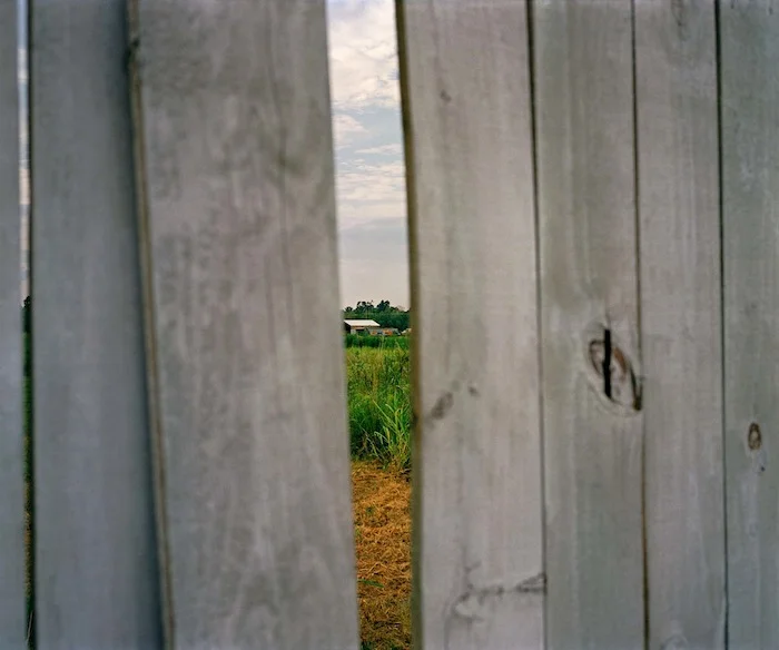Wood Fence, BRLA 2009 