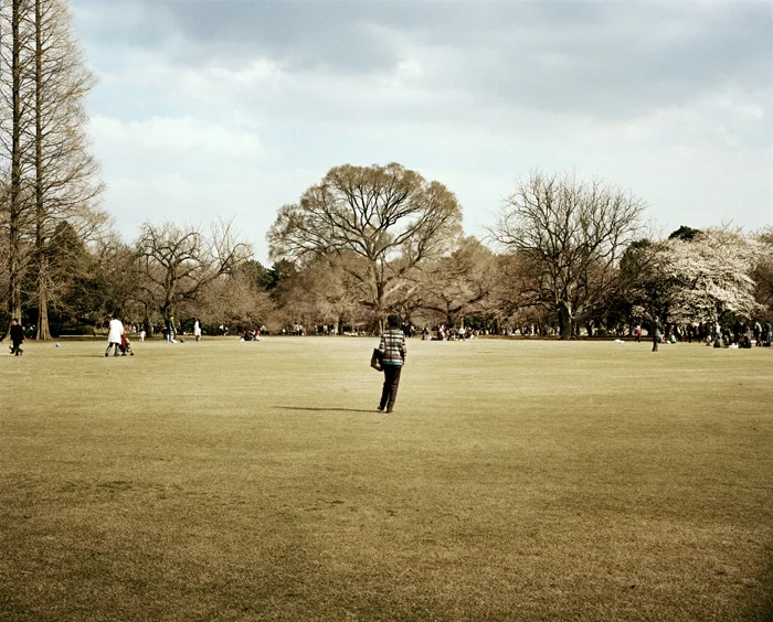 Shinjuku Gyoen, Tokyo, 2009 