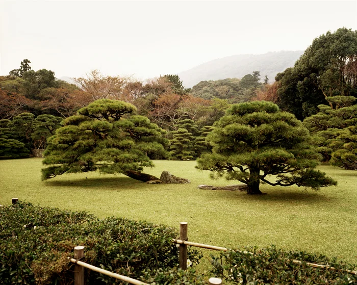 Two Trees, Ise-Shima, 2004 