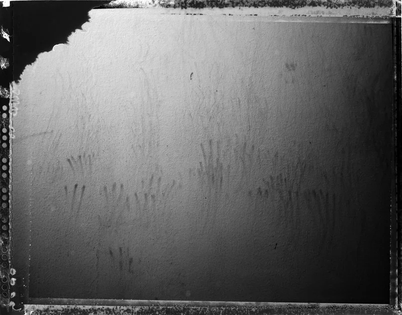 Foot Print, 2013