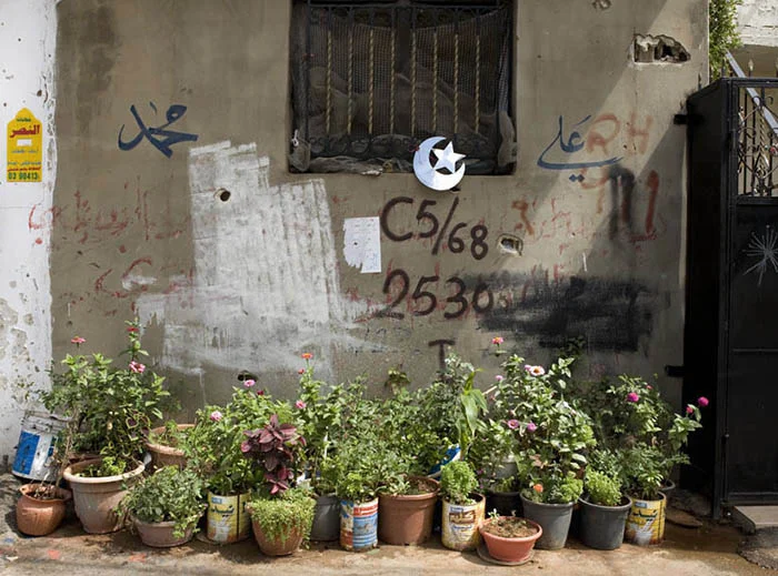 Flower Pots, Lebanon